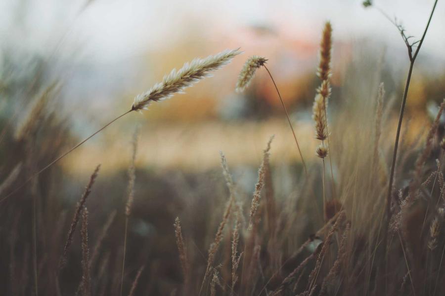 عرض عمرة رمضان المبكر — النفور